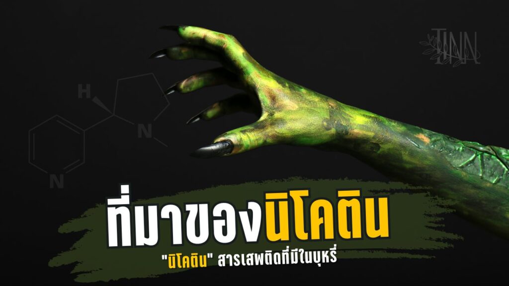 ที่มาของ นิโคติน